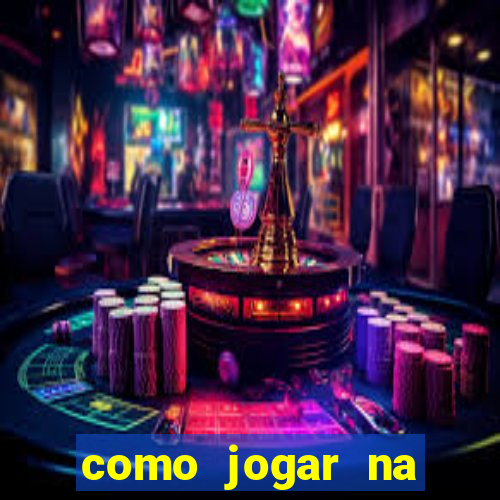 como jogar na lotinha do jogo do bicho